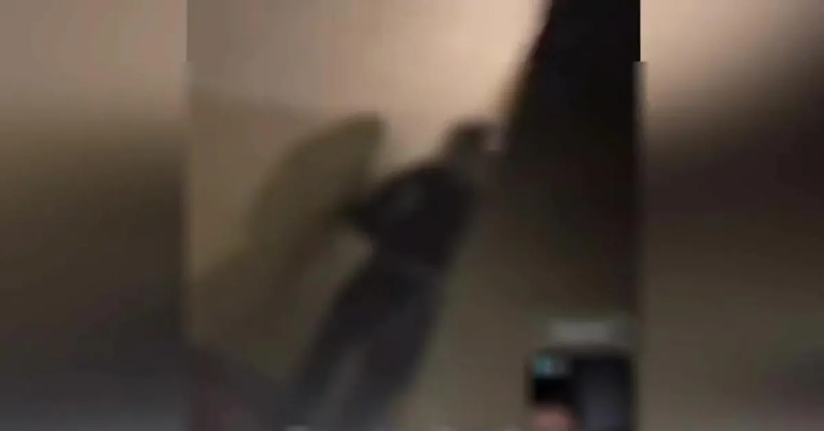 rivolta dei detenuti nel carcere di pisa il video della protesta dalle urla in albanese agli scontri con la polizia da Ilgiornaleditalia.it rivolta dei detenuti nel carcere di pisa il video della protesta dalle urla in albanese agli scontri con la polizia