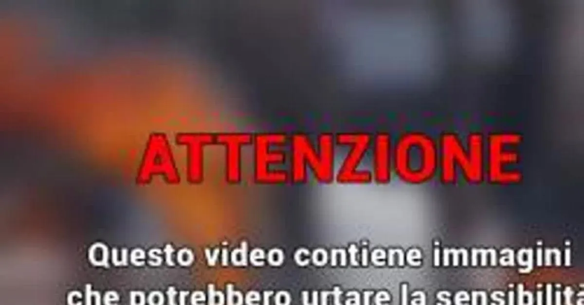 prof accoltellata il video del 13enne che prepara l aggressione con pugnale e guanti poco prima guys guardate il tg dopo da Ilgiornaleditalia.it prof accoltellata il video del 13enne che prepara l aggressione con pugnale e guanti poco prima guys guardate il tg dopo