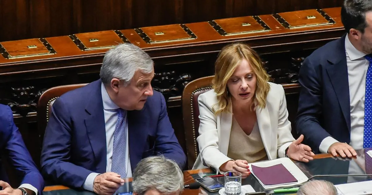 elezioni suppletive reggio calabria vittoria del cdx con il 5102 meloni ci confermiamo uniti tajani fi stravince da Ilgiornaleditalia.it elezioni suppletive reggio calabria vittoria del cdx con il 5102 meloni ci confermiamo uniti tajani fi stravince