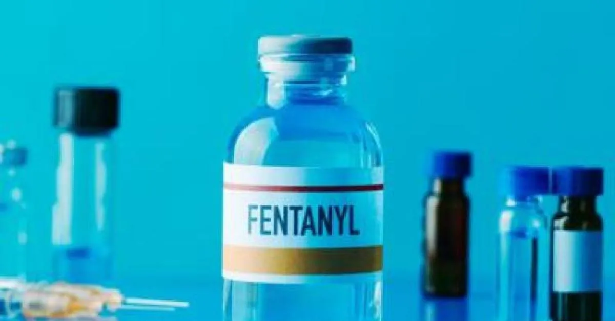 roma fentanyl tornato in circolazione dopo il furto all8217ospedale israelitico piazza di spaccio nel quartiere tor sapienza da Ilgiornaleditalia.it roma fentanyl tornato in circolazione dopo il furto all8217ospedale israelitico piazza di spaccio nel quartiere tor sapienza