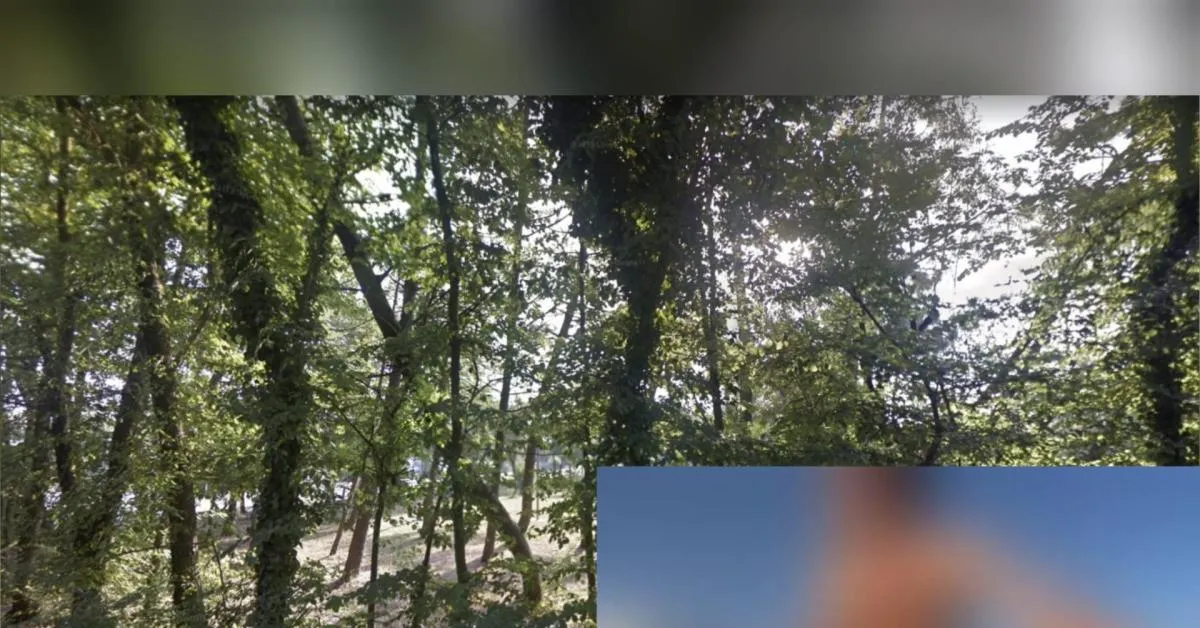 due coppie gay fanno sesso nella spiaggia nudista del lido dante a ravenna sotto la pineta blitz della polizia e multe per 8364 40mila totali video da Ilgiornaleditalia.it due coppie gay fanno sesso nella spiaggia nudista del lido dante a ravenna sotto la pineta blitz della polizia e multe per 8364 40mila totali video