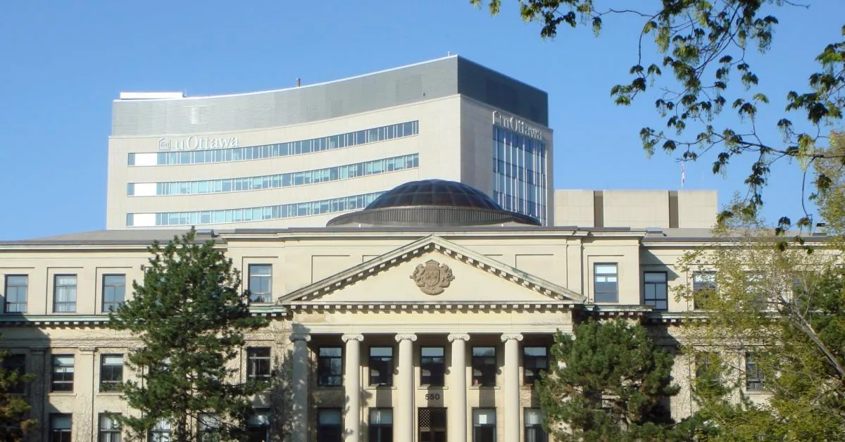 quando l8217ai diventa un rifugio emotivo cosa rivela lo studio dell8217universit224 di ottawa sugli studenti