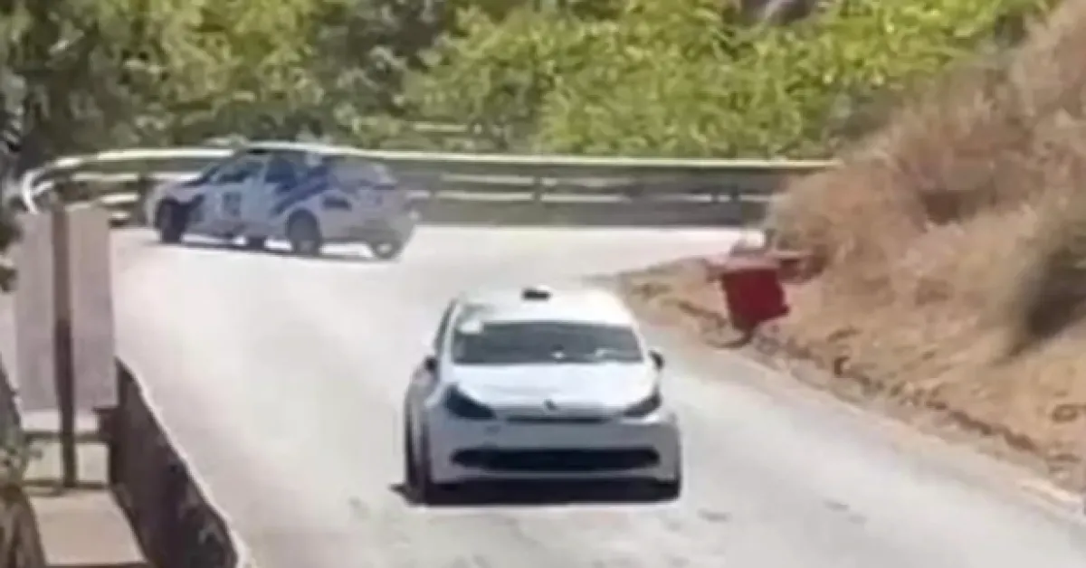 incidente alla cronoscalata monte erice indagato per omicidio stradale pilota marco nicoletti disposto esami tossicologici da Ilgiornaleditalia.it incidente alla cronoscalata monte erice indagato per omicidio stradale pilota marco nicoletti disposto esami tossicologici
