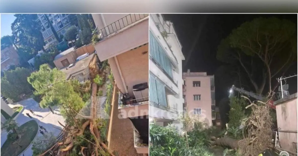 roma pino secolare cade su un palazzo in via di trasone 4 5 persone bloccate e danni all8217edificio nessun ferito