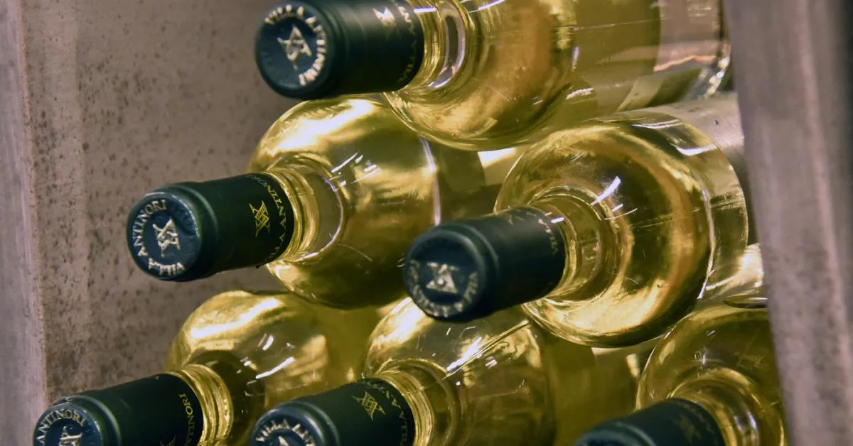 cantina antinori rubate 30mila bottiglie di vino a cortona danno da 5 milioni di euro gli inquirenti valutano l8217aiuto di un complice da Ilgiornaleditalia.it cantina antinori rubate 30mila bottiglie di vino a cortona danno da 5 milioni di euro gli inquirenti valutano l8217aiuto di un complice