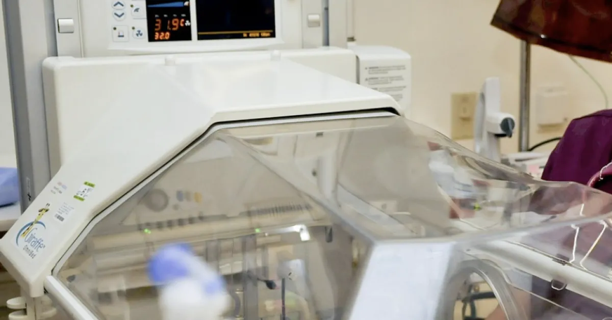 neonato abbandonato a cinisello la donna che lo ha trovato nudo e chiuso in un sacchetto con due nodi volevano ucciderlo da Ilgiornaleditalia.it neonato abbandonato a cinisello la donna che lo ha trovato nudo e chiuso in un sacchetto con due nodi volevano ucciderlo