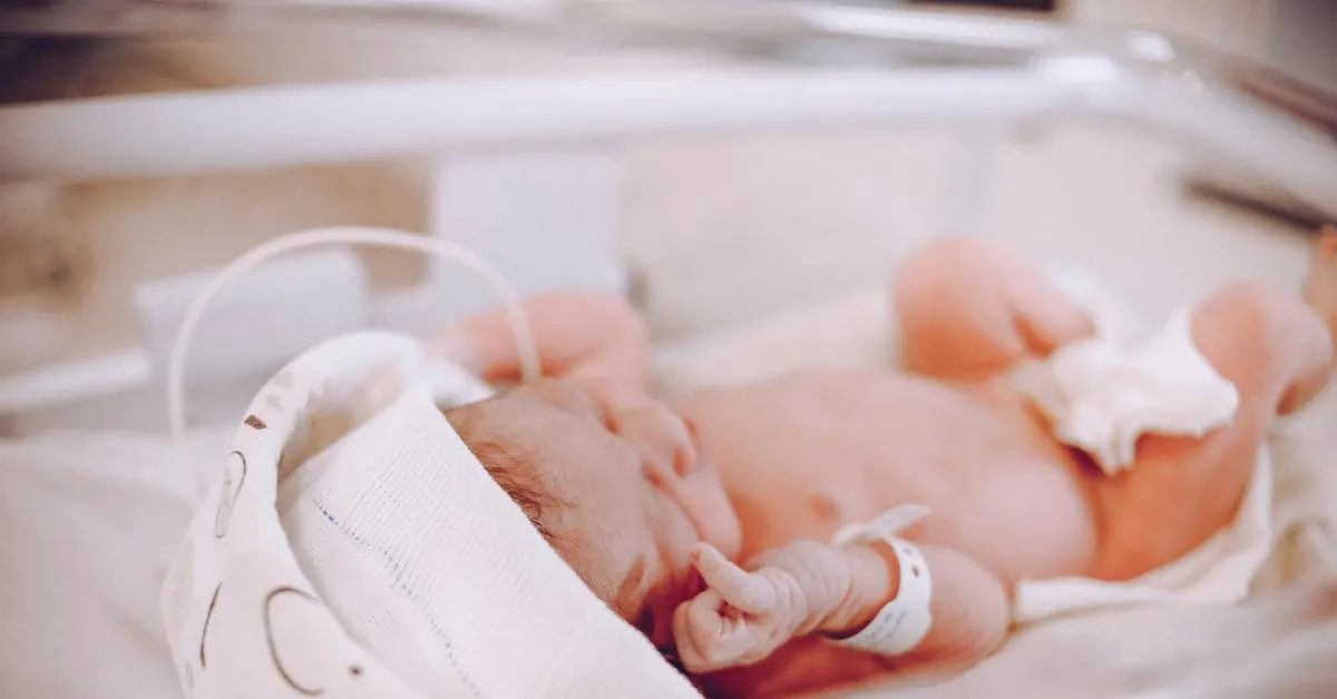 cinisello balsamo neonato trovato abbandonato in un sacchetto di plastica sotto un albero trasportato in codice rosso al niguarda