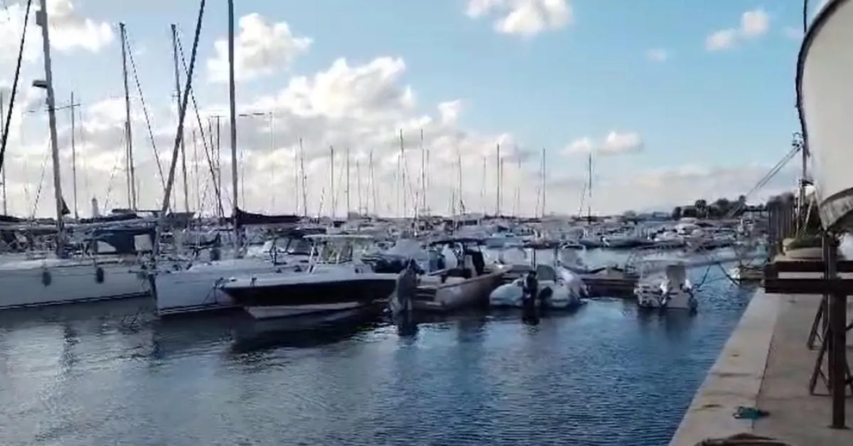 marsala donna cecoslovacca 56enne trovata morta in acqua al porto turistico ipotesi caduta durante festa notturna da Ilgiornaleditalia.it marsala donna cecoslovacca 56enne trovata morta in acqua al porto turistico ipotesi caduta durante festa notturna