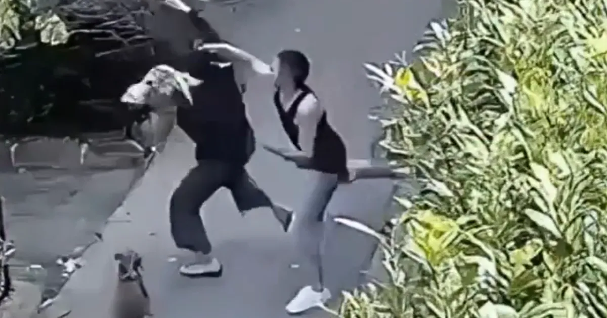genova tre rapine in pieno giorno nel quartiere albaro aggredita la moglie di matteo bassetti per rubarle la collana video da Ilgiornaleditalia.it genova tre rapine in pieno giorno nel quartiere albaro aggredita la moglie di matteo bassetti per rubarle la collana video