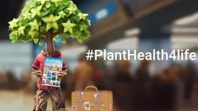 Plant health: why protecting our ecosystem is fundamental